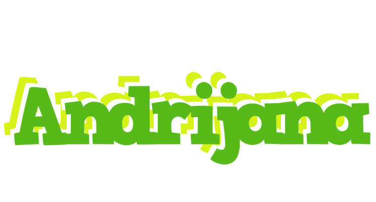 Andrijana picnic logo
