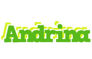 Andrina picnic logo