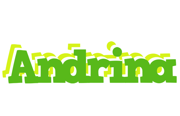Andrina picnic logo