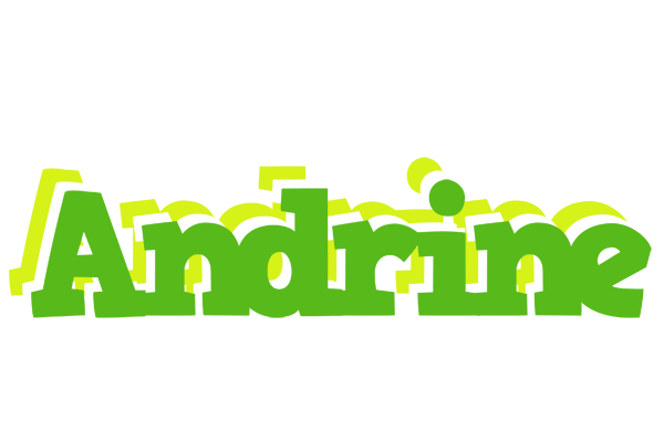Andrine picnic logo