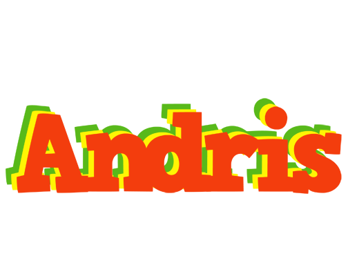 Andris bbq logo
