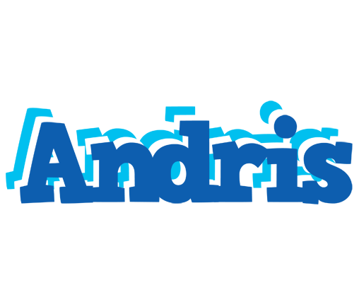 Andris business logo