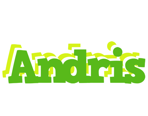 Andris picnic logo