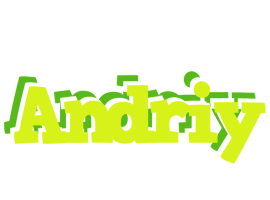 Andriy citrus logo