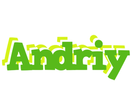 Andriy picnic logo