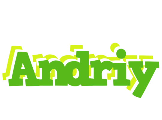Andriy picnic logo