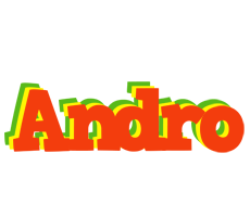 Andro bbq logo