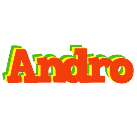 Andro bbq logo