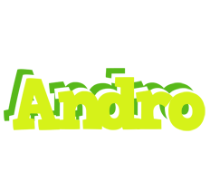 Andro citrus logo