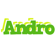 Andro picnic logo