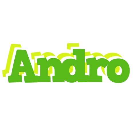 Andro picnic logo
