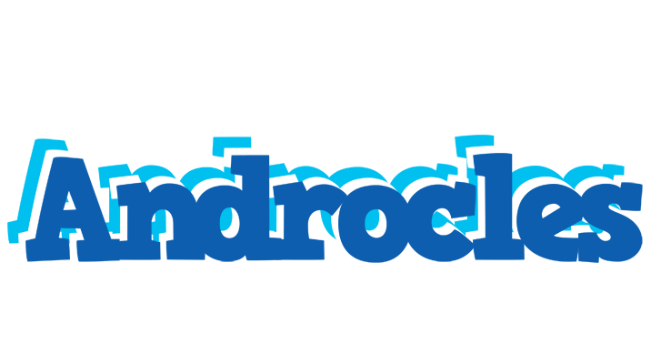 Androcles business logo