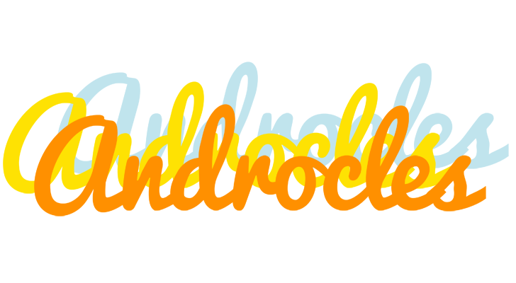 Androcles energy logo
