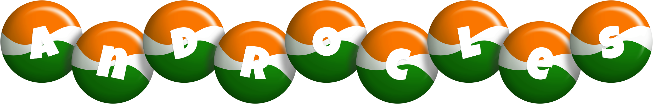 Androcles india logo