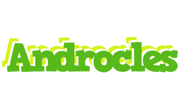 Androcles picnic logo