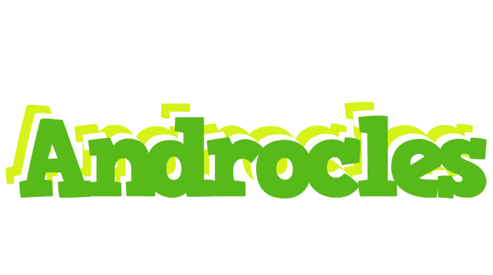 Androcles picnic logo