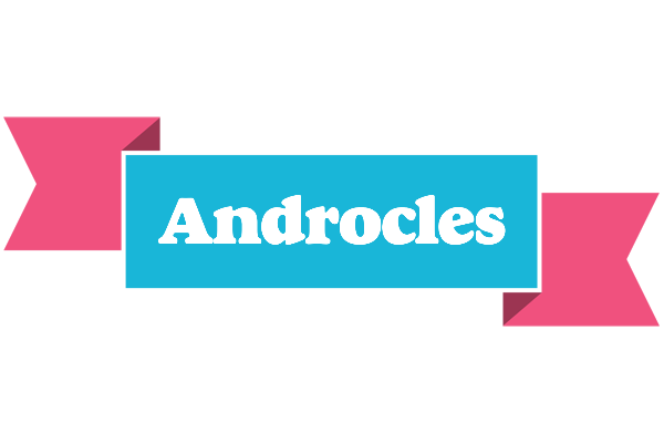 Androcles today logo