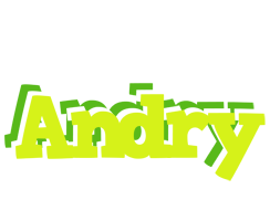 Andry citrus logo