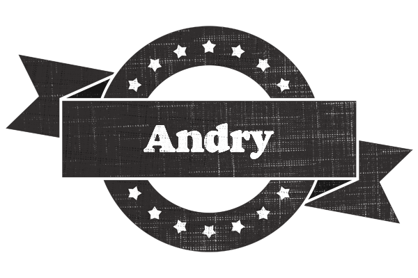 Andry grunge logo