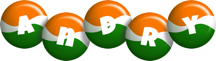 Andry india logo