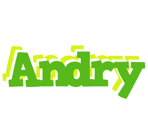 Andry picnic logo
