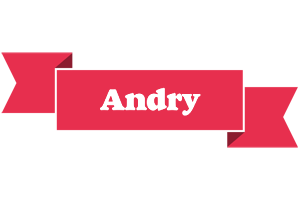 Andry sale logo