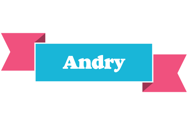 Andry today logo