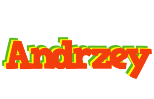 Andrzey bbq logo