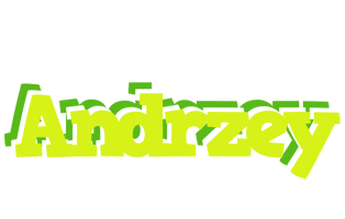 Andrzey citrus logo