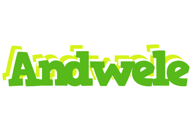 Andwele picnic logo