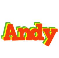 Andy bbq logo