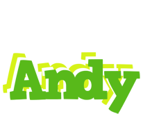 Andy picnic logo