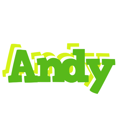 Andy picnic logo