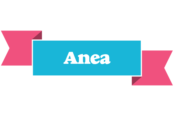 Anea today logo