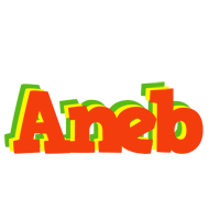 Aneb bbq logo