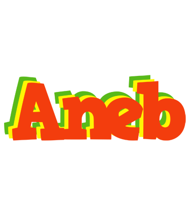 Aneb bbq logo