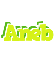 Aneb citrus logo