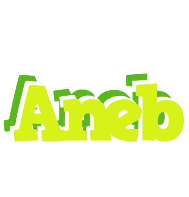 Aneb citrus logo