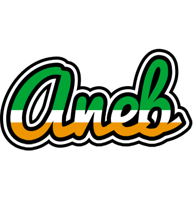 Aneb ireland logo