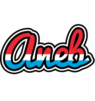 Aneb norway logo