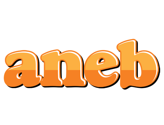Aneb orange logo
