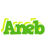 Aneb picnic logo