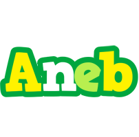 Aneb soccer logo