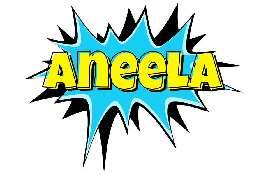 Aneela amazing logo