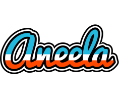 Aneela america logo