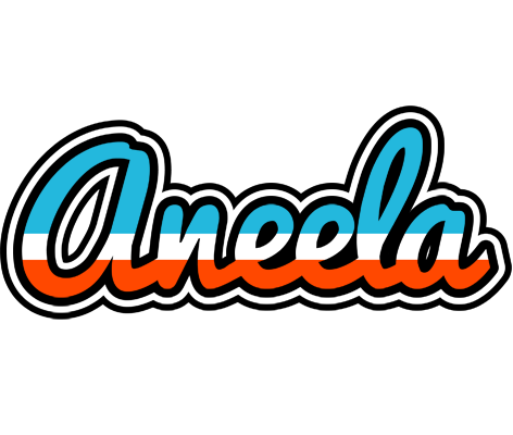 Aneela america logo