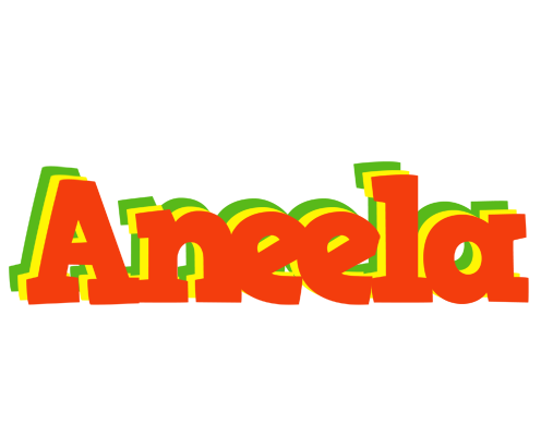 Aneela bbq logo