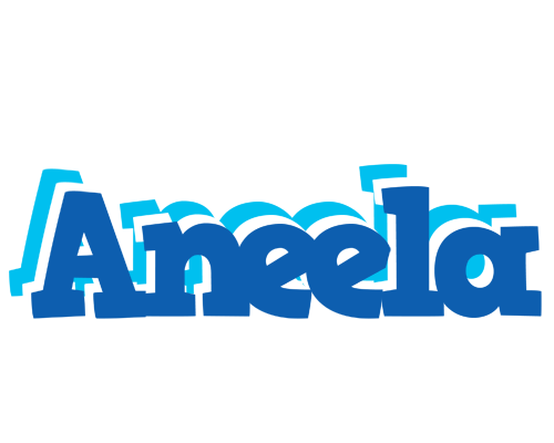 Aneela business logo