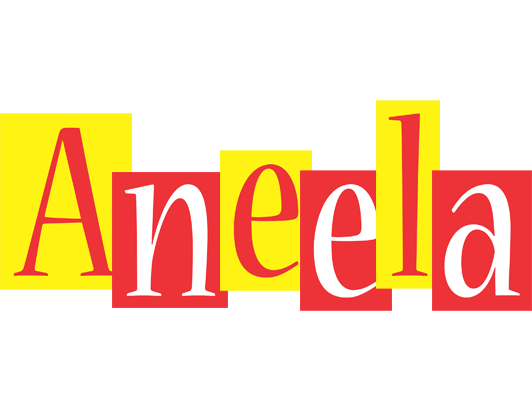 Aneela errors logo