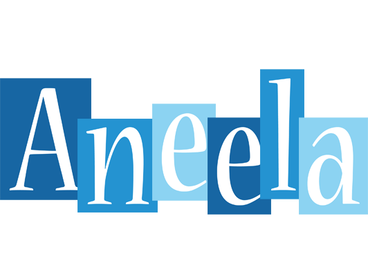 Aneela winter logo